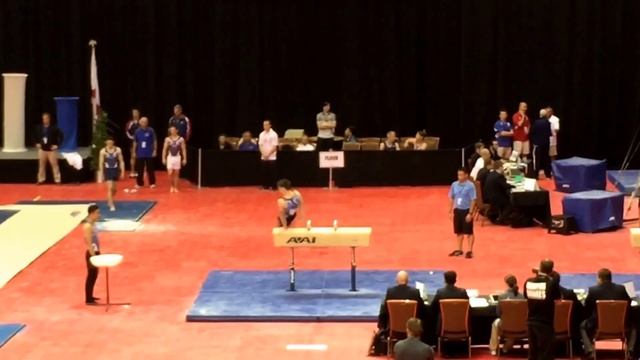 Alexei Vernyi - Pommel Horse - 2015 Junior Olympic National Championships