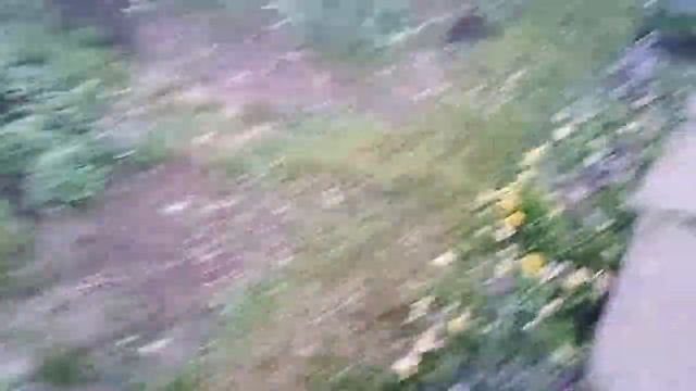 Еду в Москву. Обзор клубники и земляники.