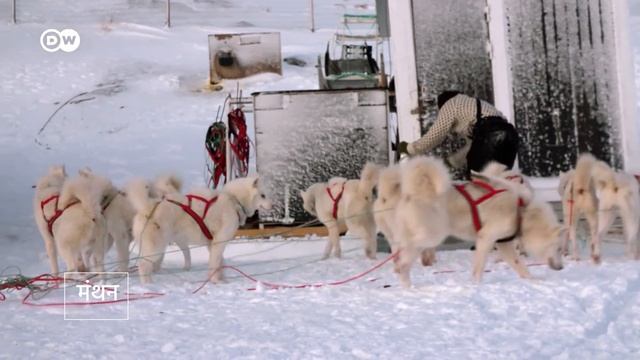 बर्फ की चादर में लिपटे ग्रीनलैंड में क्या हो रहा है? [Greenland: Sled dogs on melting glaciers]