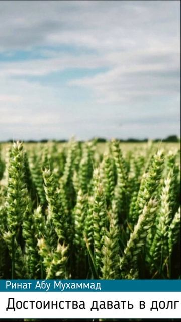 Давать в долг! БЛАГОЕ ДЕЛО! Мусульмане посмотрите это видео! Ислам #Ислам #Мусульмане