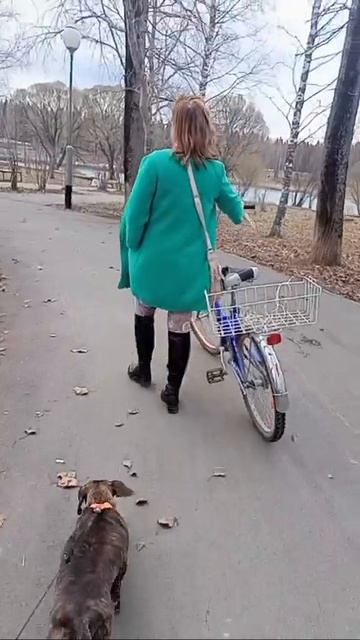 480p_Всем_привет_подписчики_вышли_с_Леонидовной_погулять