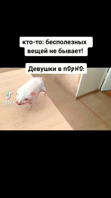 Мемас из Тик Тока #прикол #юмор #смех #смешно #ржака #мемы #смехдослез #shorts