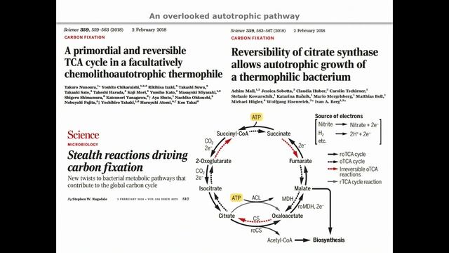 ORIGIN AND EARLY EVOLUTION OF LIFE - Part 2