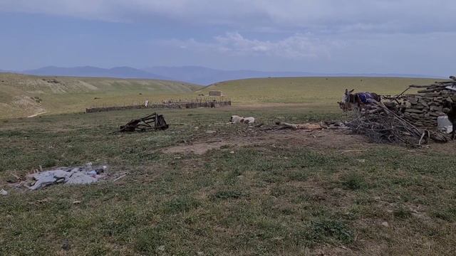 рабочие Волкодавы гор Нохур, Туркменистан.