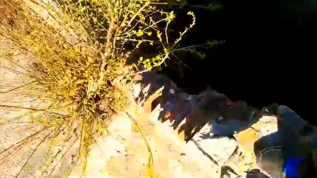 Стройка в Доброполье