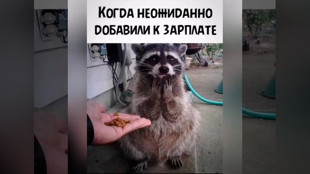 Юмор: Еду я с работы, как уставший лось