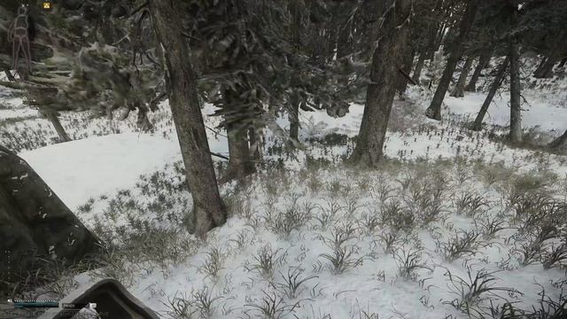 Лес! БТР снова можно увидеть Лутаю барахло + сдаю квест(Часть 2)! Escape from Tarkov PvE!