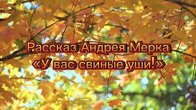 Рассказ Андрея Мерка « У Вас свиные уши!»