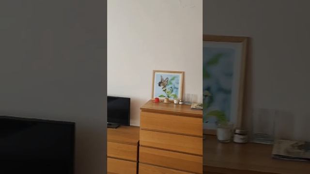 Залесского 2/1