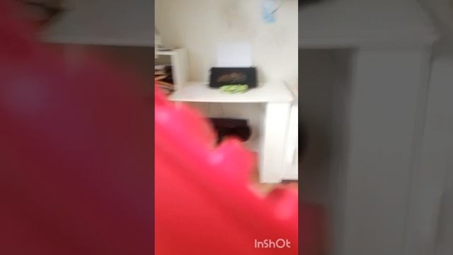 пистолеты