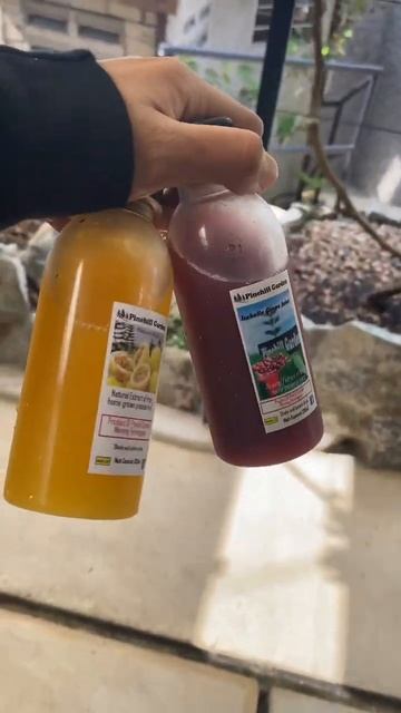 natural extract if fresh grown passion fruit & grapes 🍇 | fresh juices #fruits #freshfruit #grape