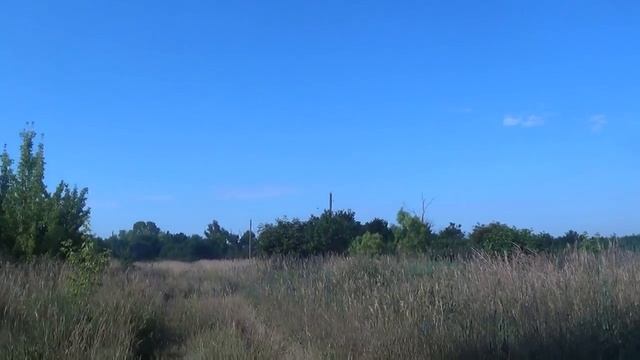 д.Трубниково, Бондарский район