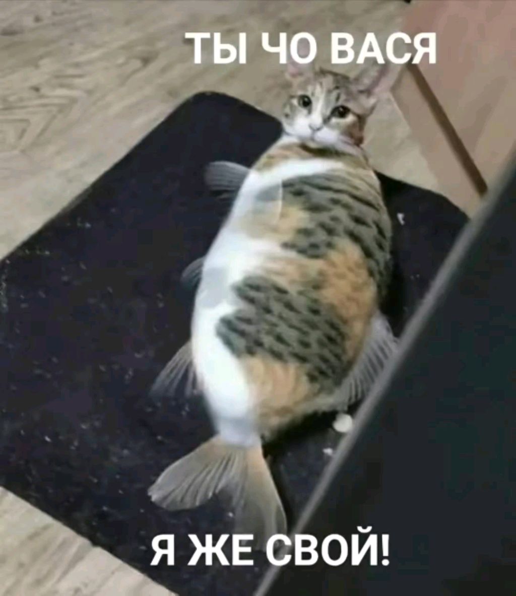 хрен знает что 












😝