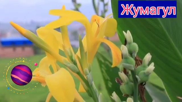 ,Хайрли тун ✨✨🌙Good night ✨✨🌙Спокойной ночи ✨✨🌙
