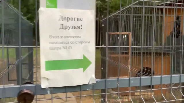 Лес Арт Резорт/Завтрак Все включено/Бэмбитерапия Холмс и Ватсон ,ч. 4
