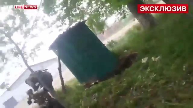 Видео атаки ополченцев на украинские войска