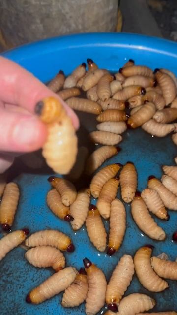 Я показываю удивительный мир подписывайтесь #shortsvideo #share #travel