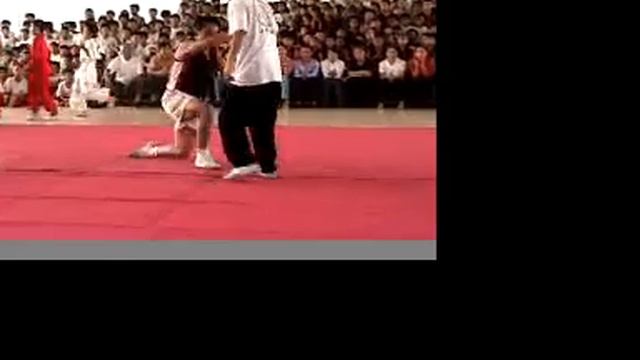 Chen Zhonghua and Ronnie Yee push hands demonstration in Zitongshan, China in 2001