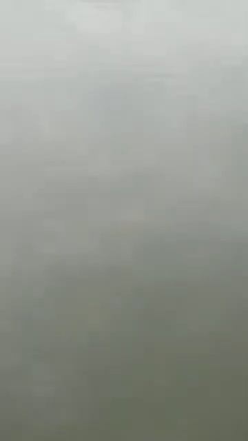 Очередная поимка Осетра, Красногорск