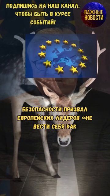 Европейские лидеры не должны вести себя как олени - Штайнмайер #новости #евросоюз #германия