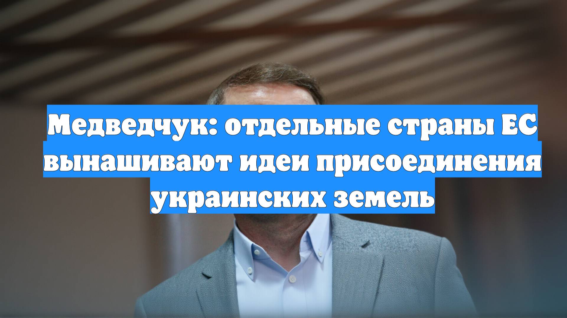 Медведчук: отдельные страны ЕС вынашивают идеи присоединения украинских земель