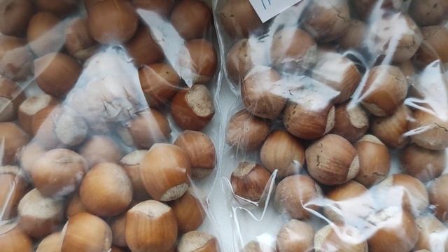 Огляд колекції сортів фундука