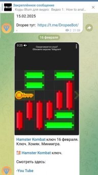 Hamster Kombat ключ 16 февраля. Ключ.