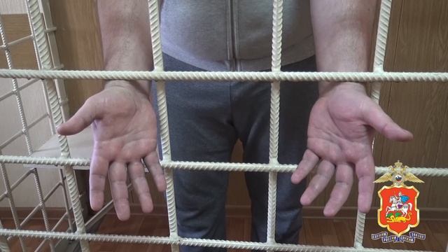 В Подмосковье полицейские вернули пенсионерке похищенные телефонными аферистами деньги