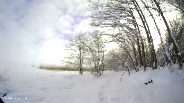 Блики Фауста. Часть 18.
