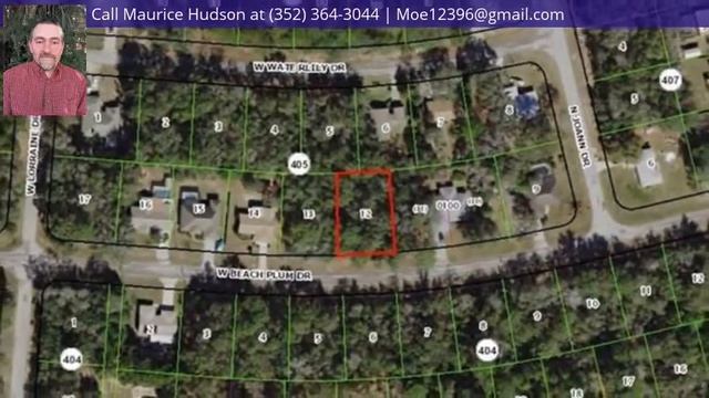 1809 W Beach Plum Drive, Citrus Springs, FL 34434 - MLS #779578