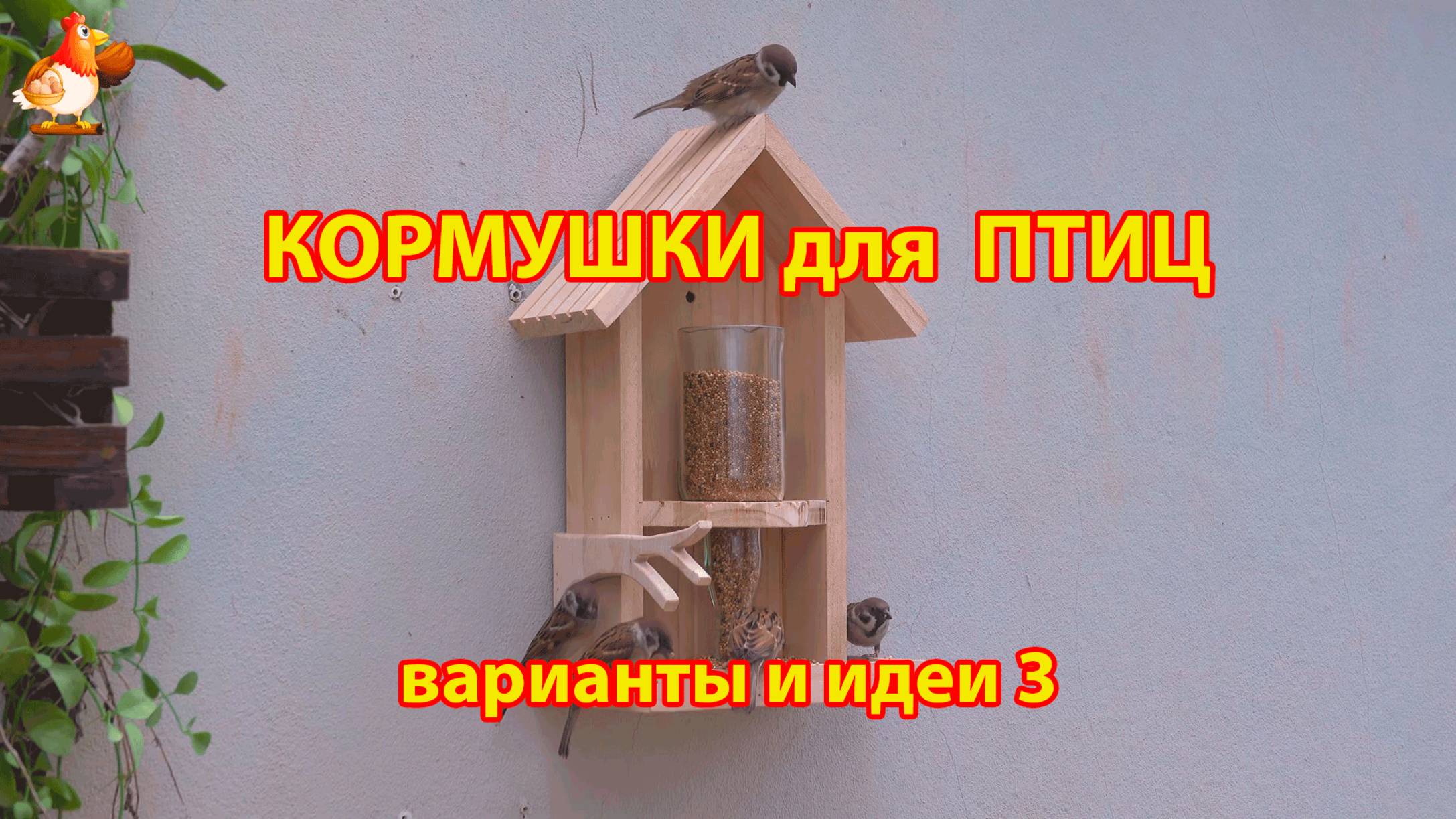 Кормушка для птиц своими руками как сделать пошагово (3) 🪚🪛🔨 Идеи для дачи и сада❣️