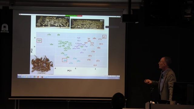 Steve Cannon: Applying modern breeding practices to Apios americana