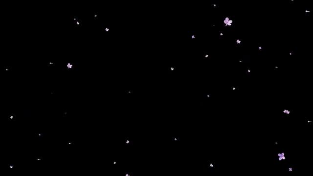 Футаж - Хромакей🟣 Фейерверк🟣 Цветочков Сирени💜