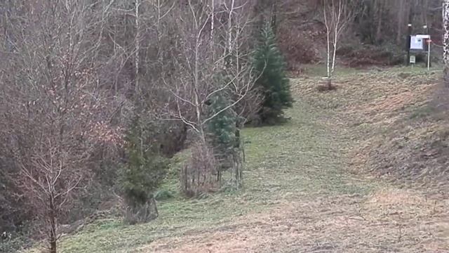 Arboretum Bolfenk, Jelovice, Slovenija, 2018
