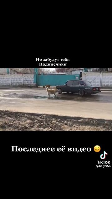 Жигули топ
