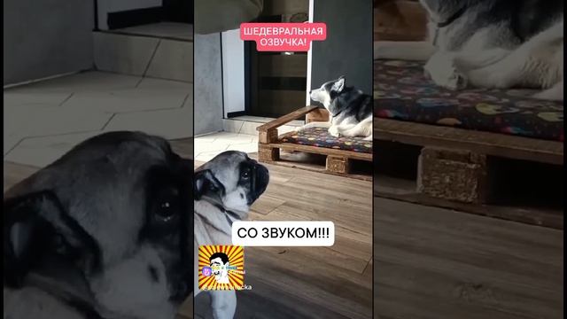 Кузьмич  конечно да  а джагер вообще
