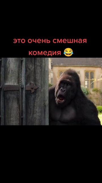 Хорошая комедия для скучного вечера
