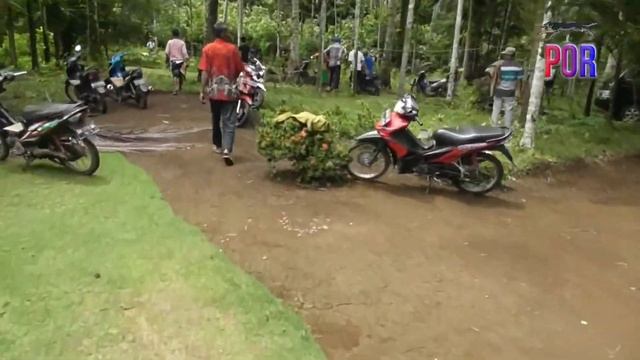 Ko Nan Banyak tu Mak, Buru Babi Pariaman- Muaro Gasan part 2 #porbisumbar #berburubabihutan