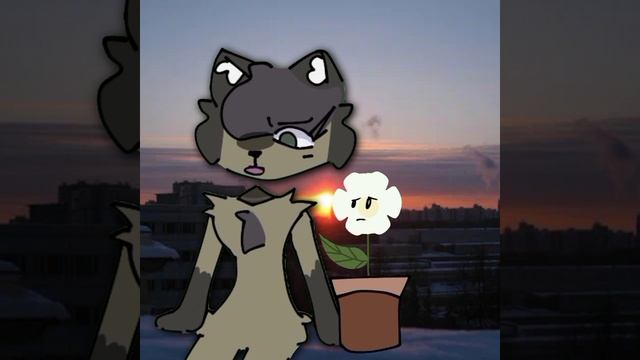 Я снова через 2 месяца вернулась поднять актив😎(это просто тренд)))))
