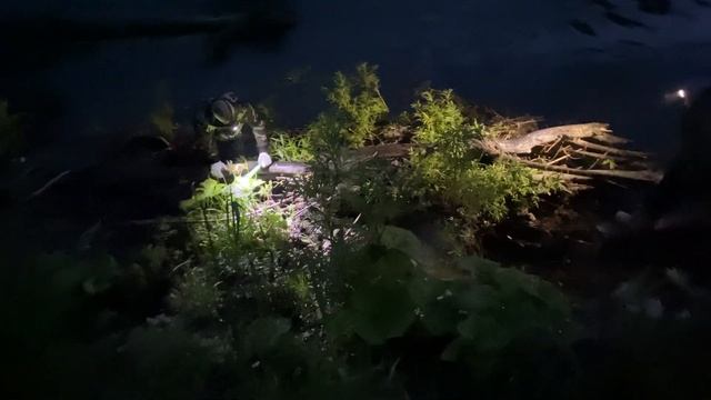 Заготавливаем дрова в ночи
