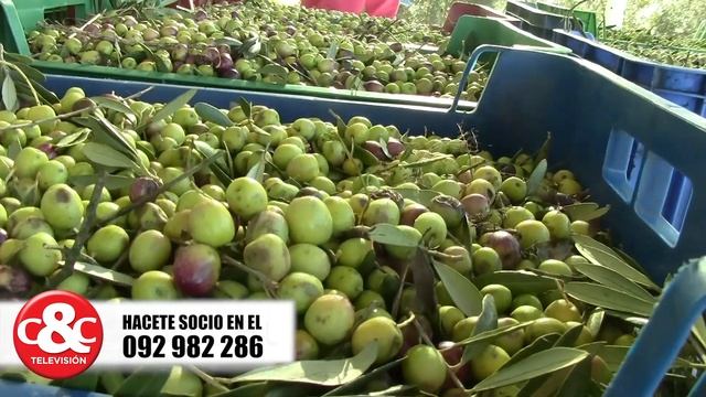 Informe Granjero 12 jul 21