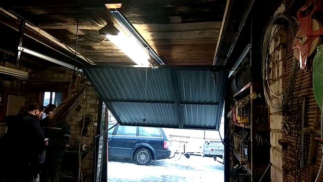 Залотой дуб 2500х2500(1)