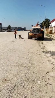 Will corn dry in the field over winter ?