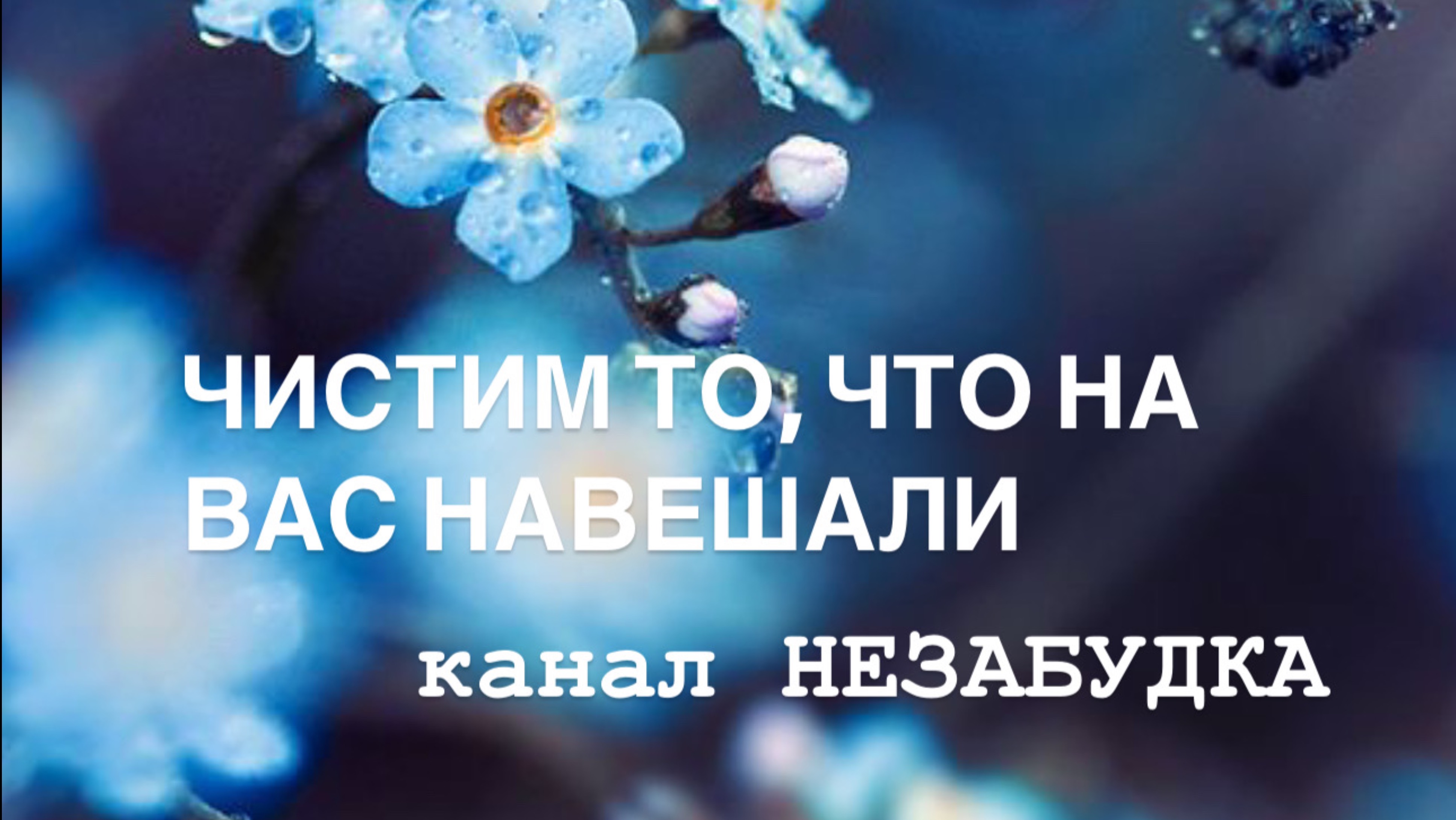 ЧИСТИМ ТО, ЧТО НА ВАС  НАВЕШАЛИ 🧿