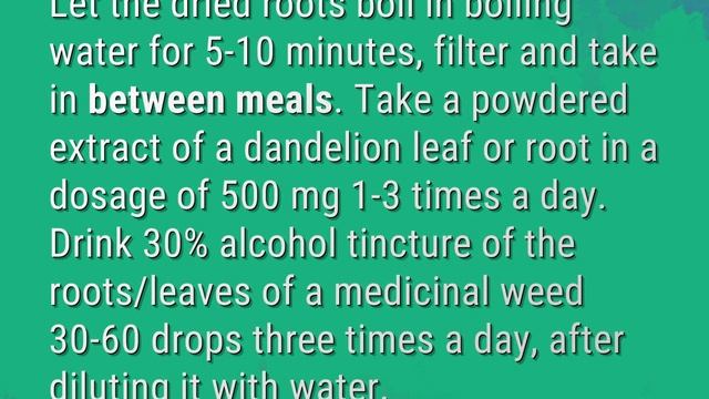 When should I drink dandelion tea for weight loss?
