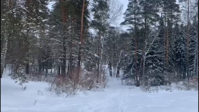 Во всем виновата мать