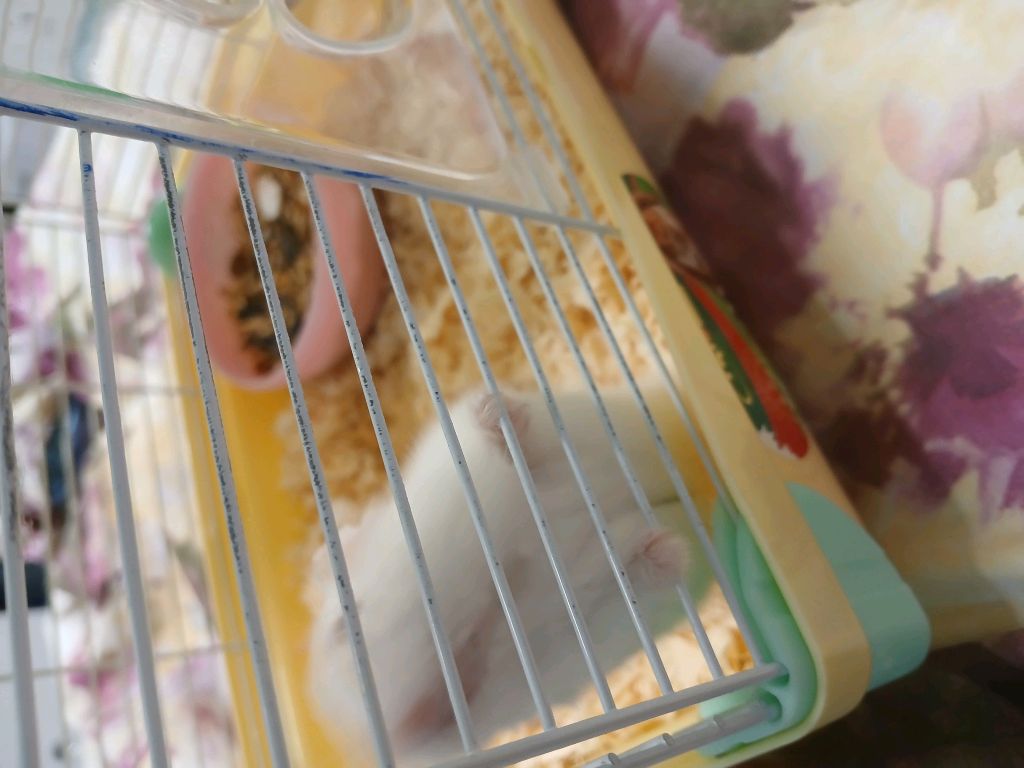 приветик 😶🌫️🧡