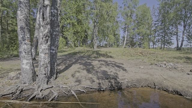 1000142465.mp4