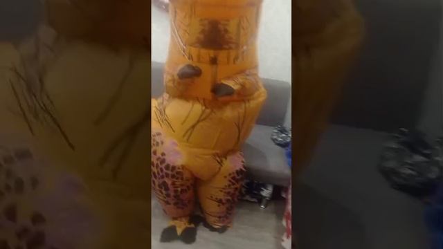 VID-20250115-WA0000.mp4