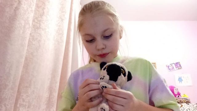 покупки и картины